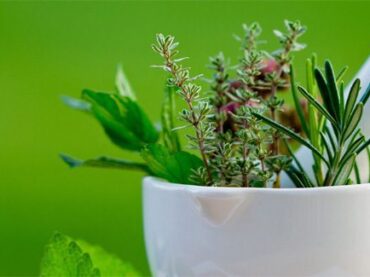 IL Tuo Benessere Naturale